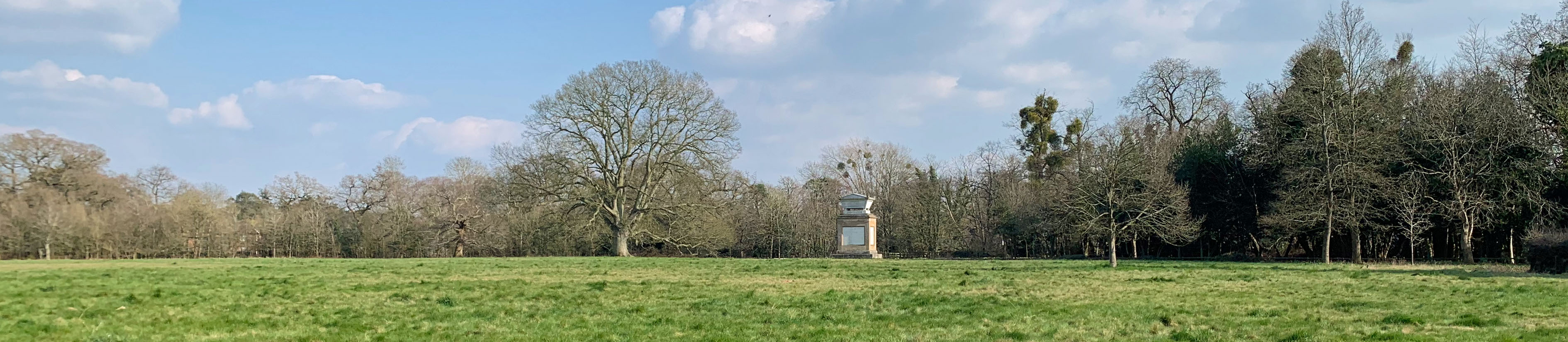 A view of a field, with trees and Gray's monument in the distance